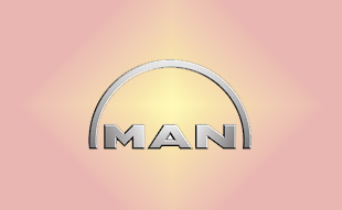 ✓ MAN 81.77973.0031 Запчасти МАН (MAN) 